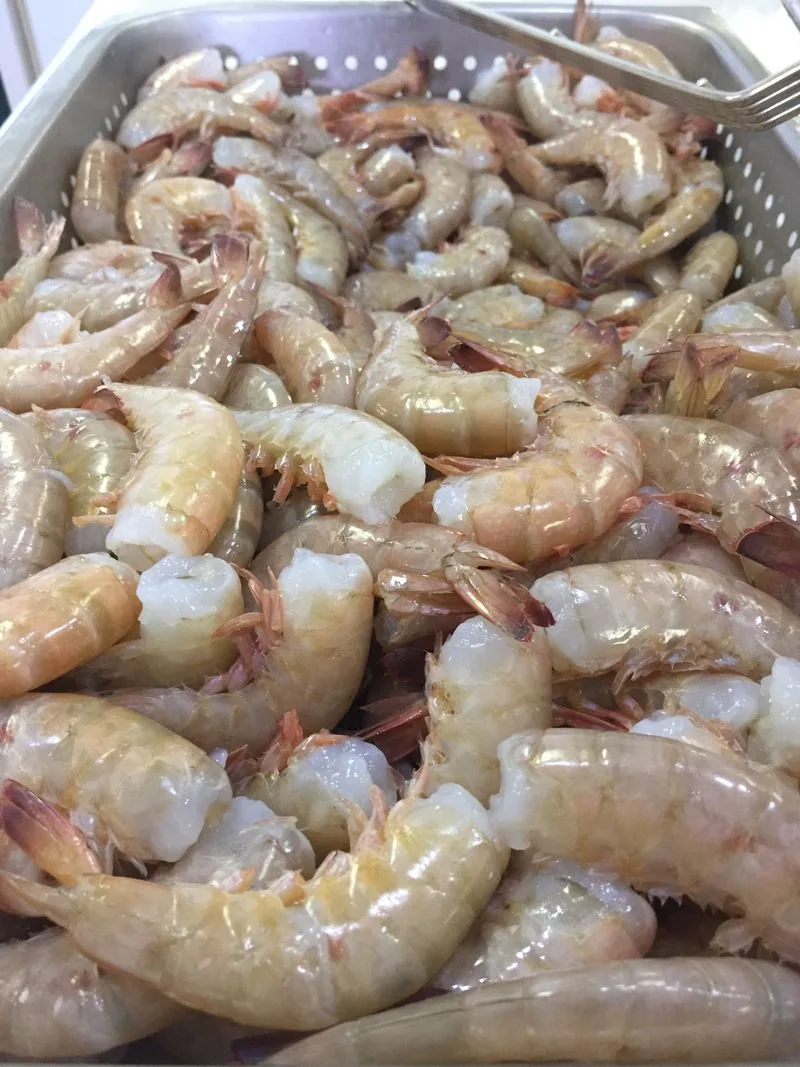 Gulf Shores and Orange Beach, Alabama