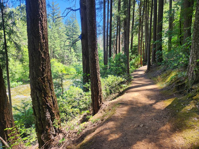 Trails That Feel Like a Journey Through a Postcard