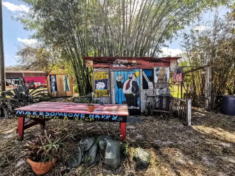 Collectible Vinyl Records