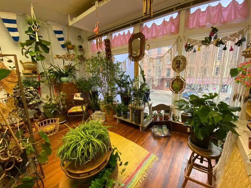 Houseplants, air plants, and tiny green magic