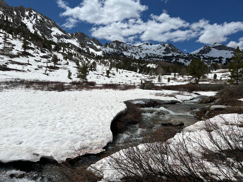 Elko