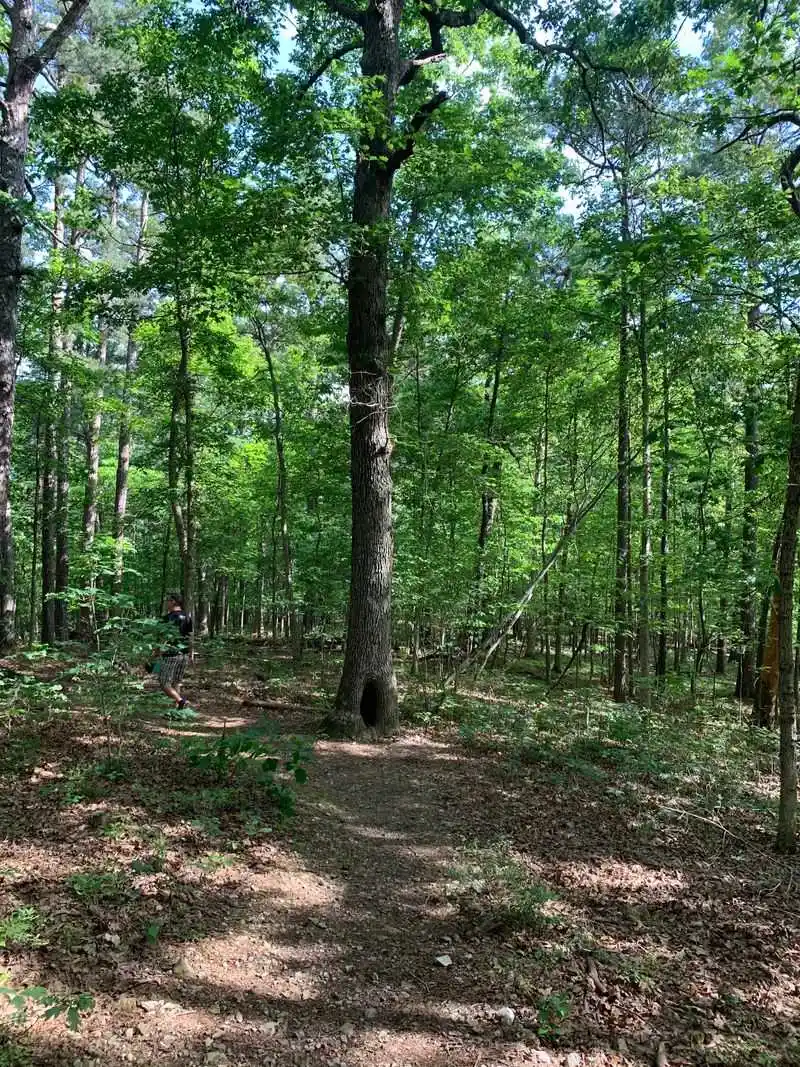 Pigeon Roost Trail Backpacking Loop