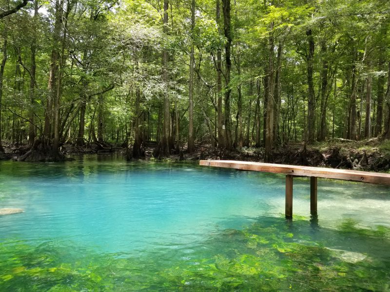Blue Hole Spring and Above Ground Trails