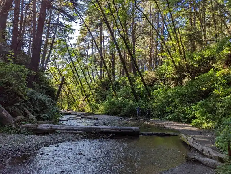 Conclusion: Walking Through Millions of Years