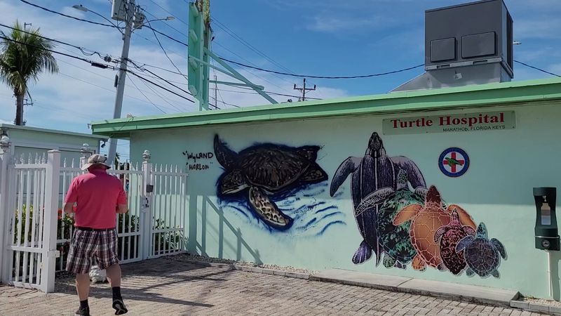 Tour the Turtle Hospital in Marathon
