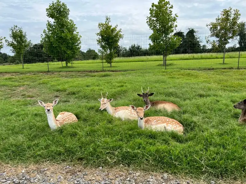 When to go and how to plan