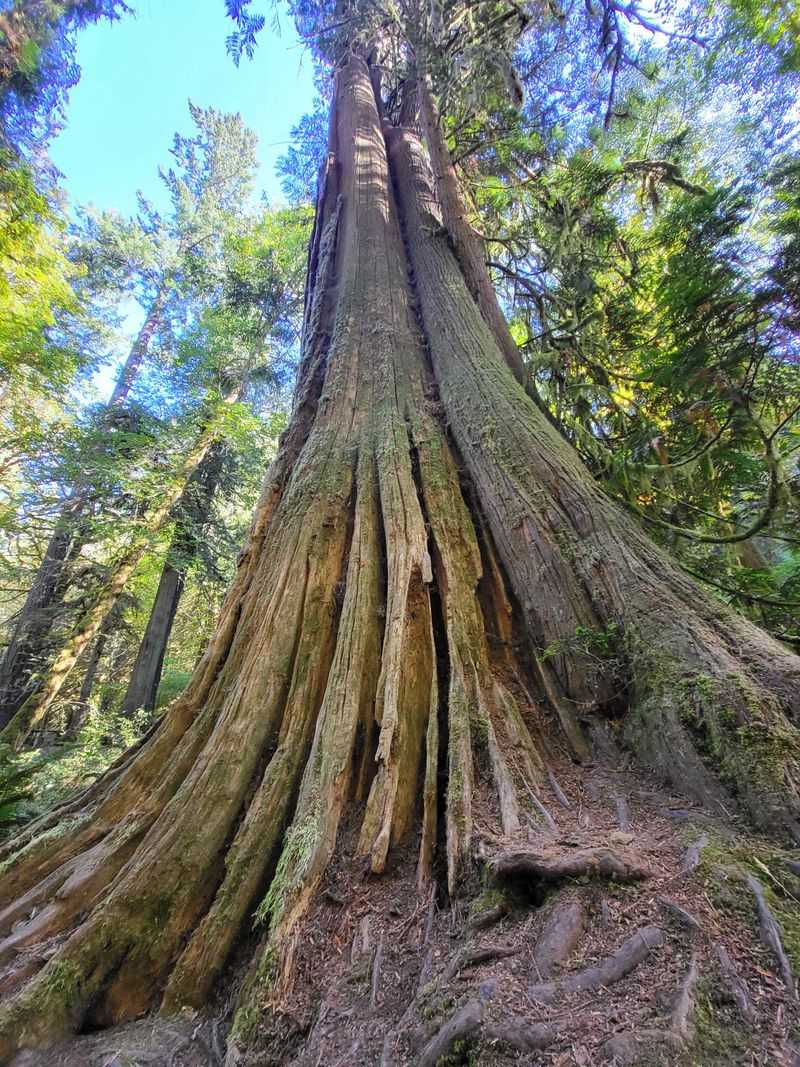Scenic Hiking Trails