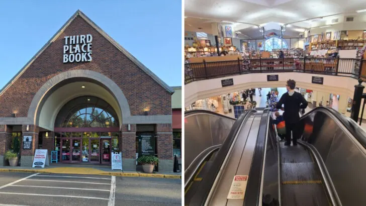 Washington has a used bookstore with 200,000 titles where getting lost is the whole point