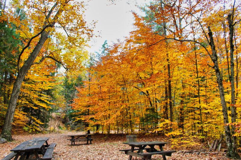 Picnic Areas, Beach Zone, and Family Basics