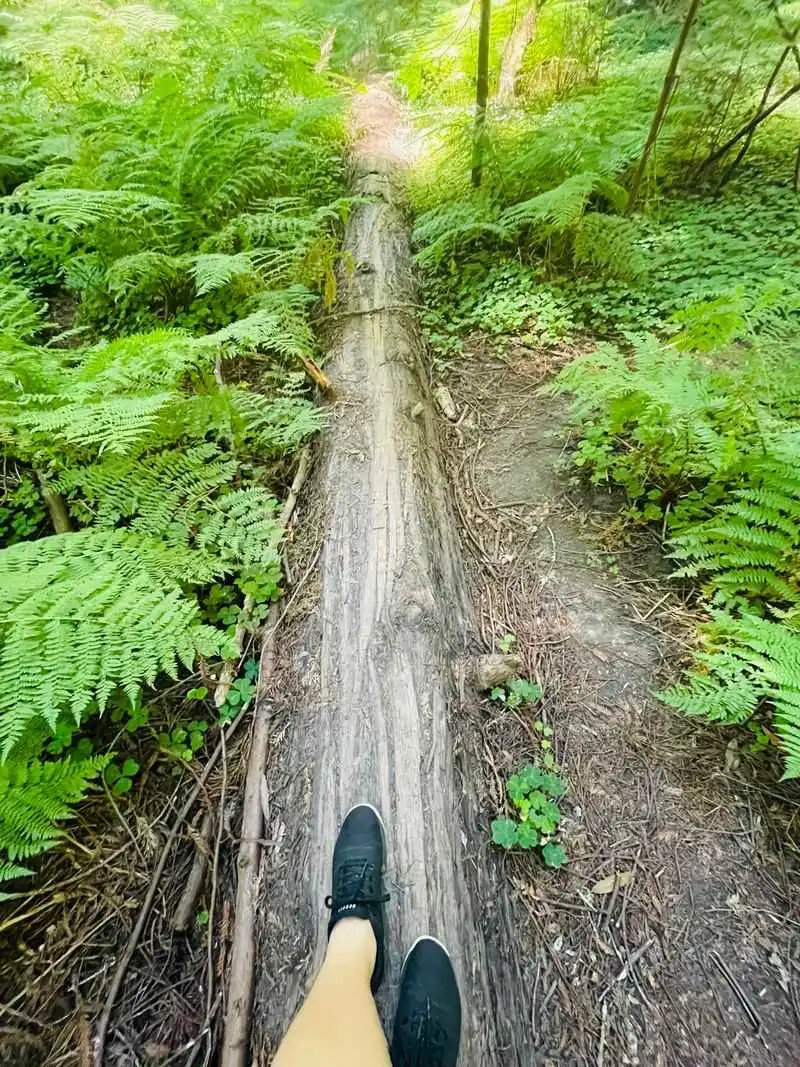 Leave no trace and trail etiquette