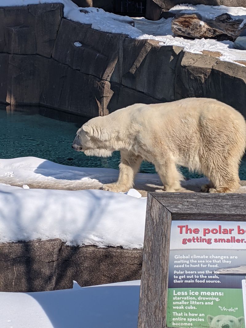 Wisconsin – Milwaukee County Zoo – Milwaukee