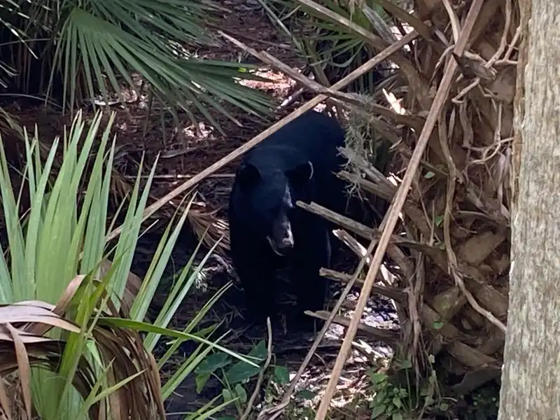 Best Time of Year to Visit