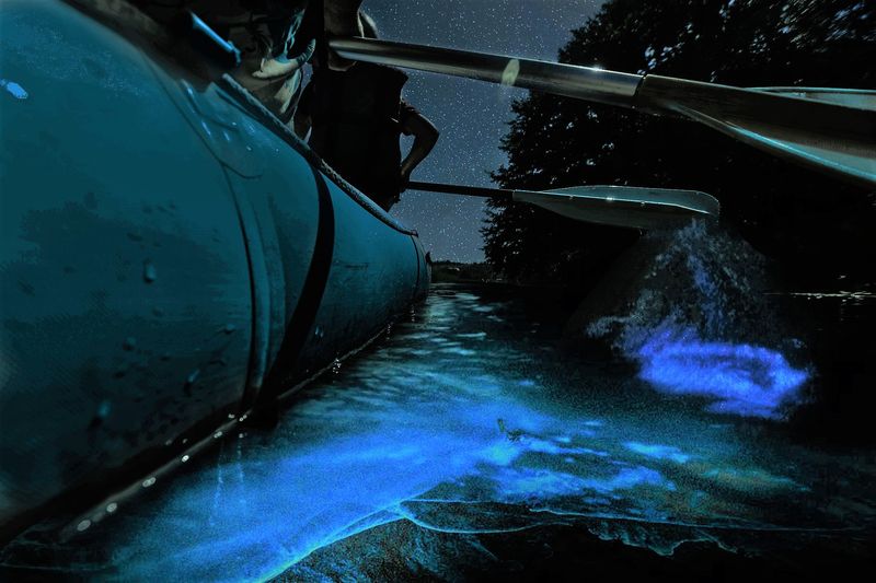 The Science Behind the Electric Blue Glow