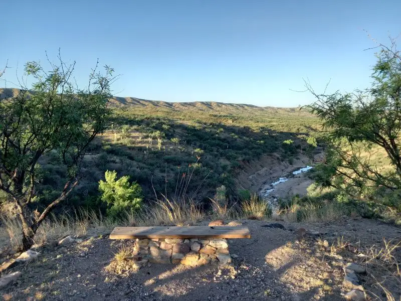 A Lush Riparian Corridor in the Desert