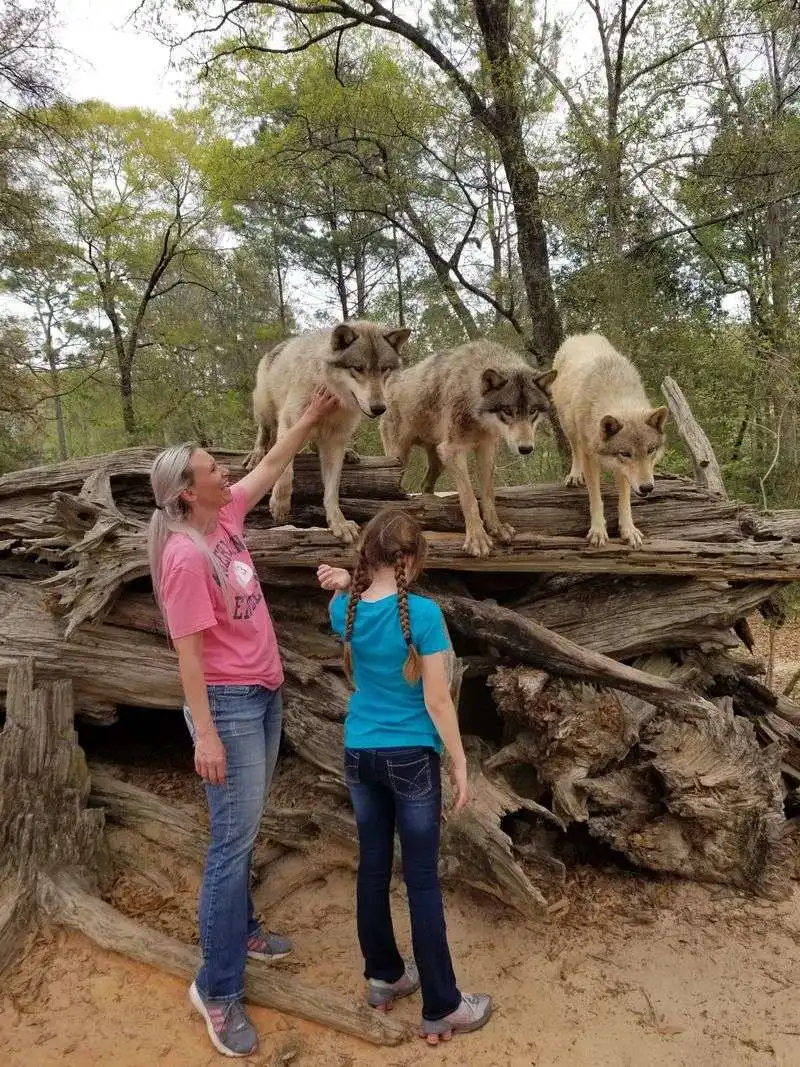 Safety, Dress Code, and Etiquette