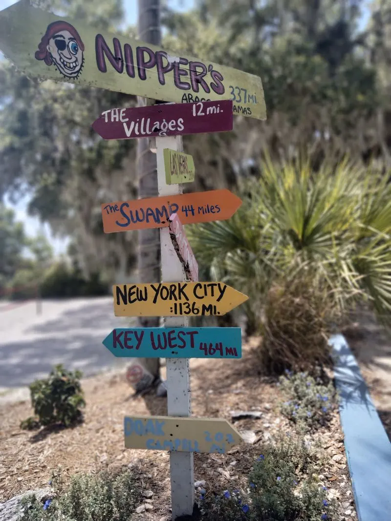 When To Go and What To Expect