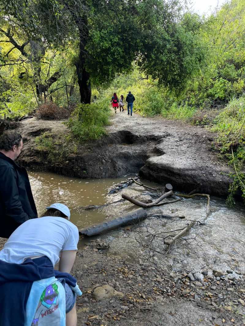 Creek Crossings and Shoes Strategy