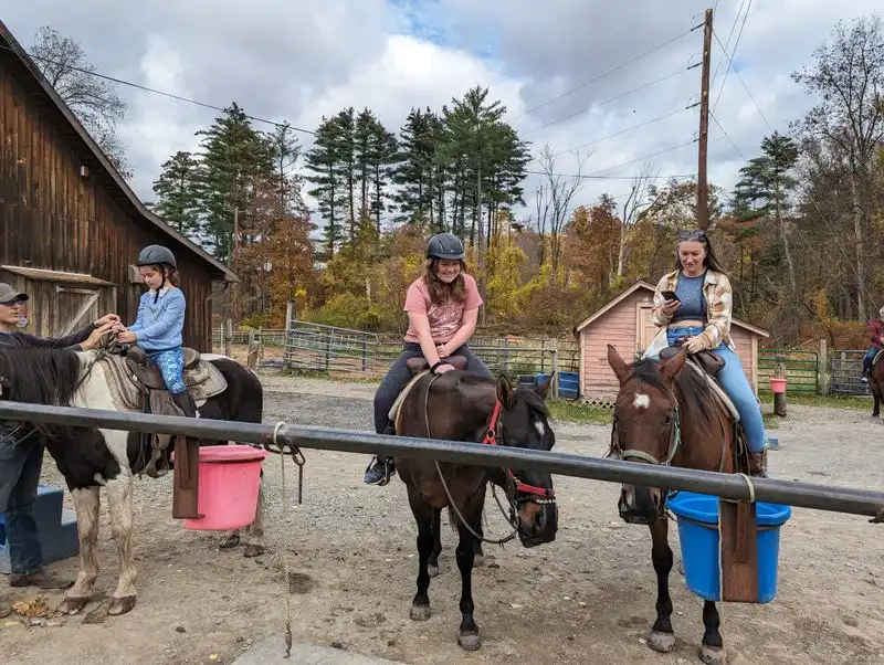 Horse personalities you might meet