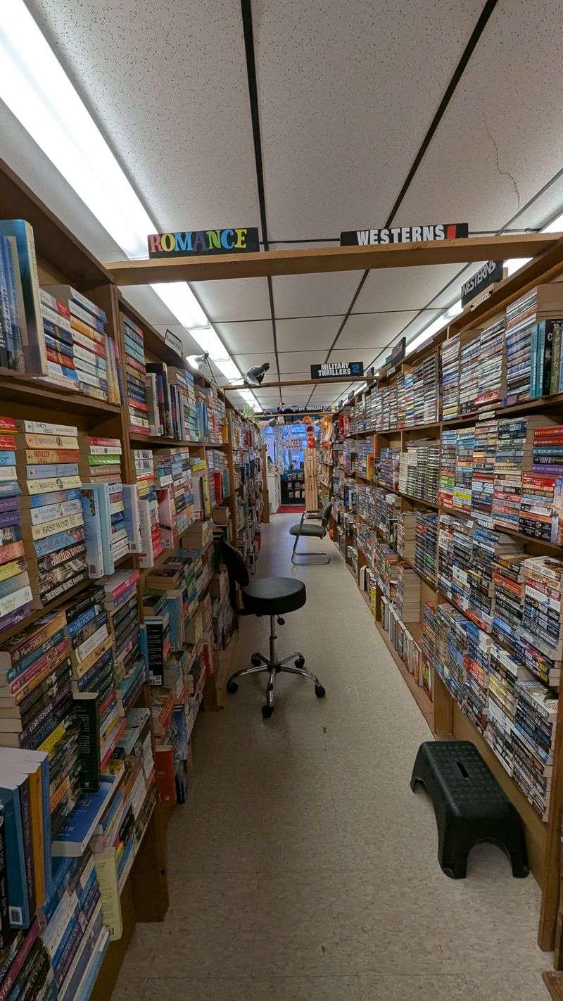 Genres and sections you should not miss