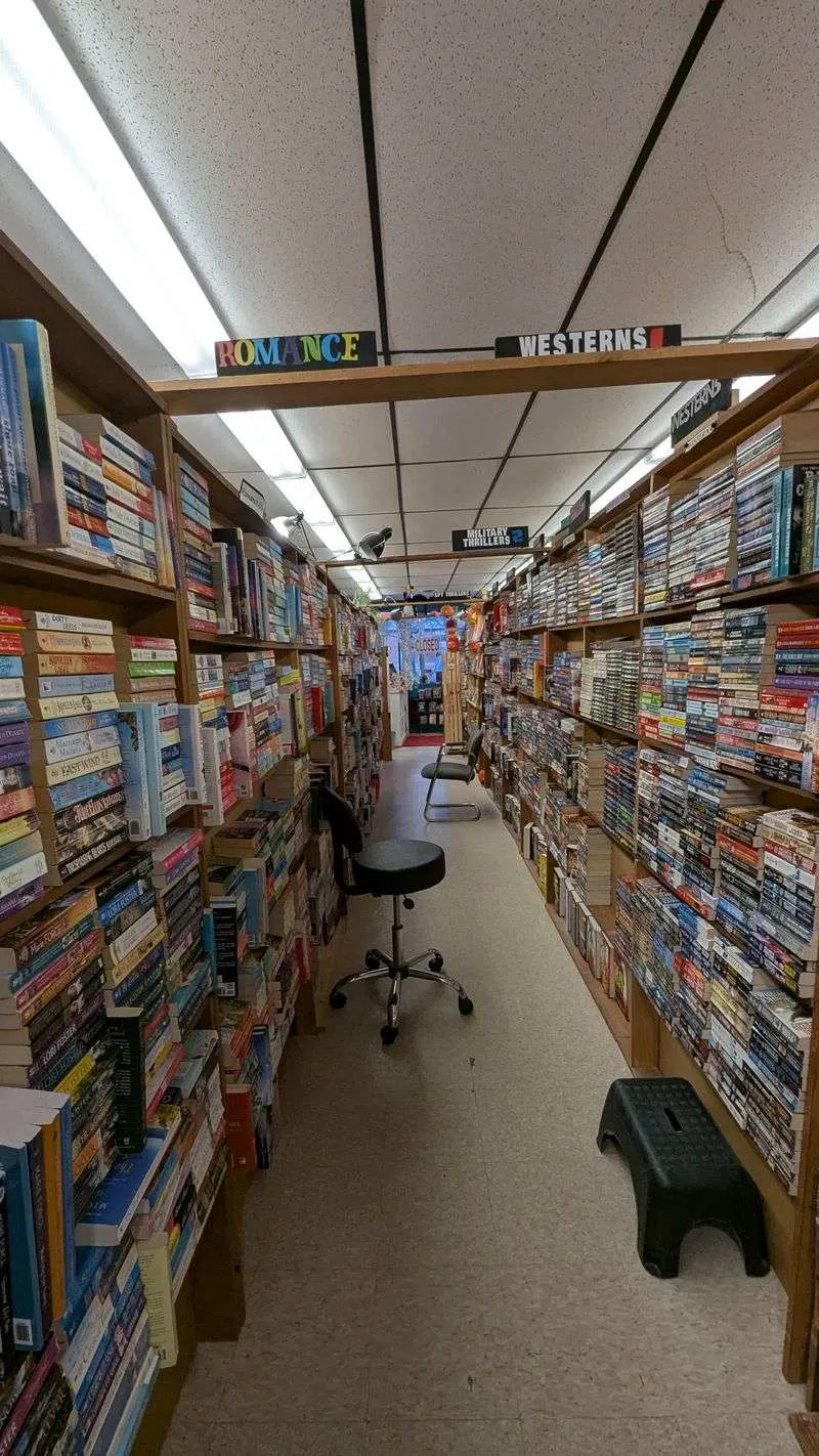 Genres and sections you should not miss