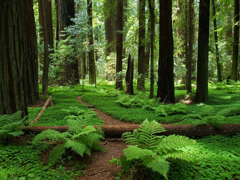 Pace, difficulty, and family friendliness