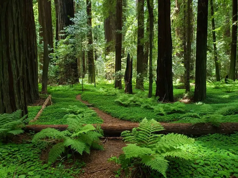 Pace, difficulty, and family friendliness