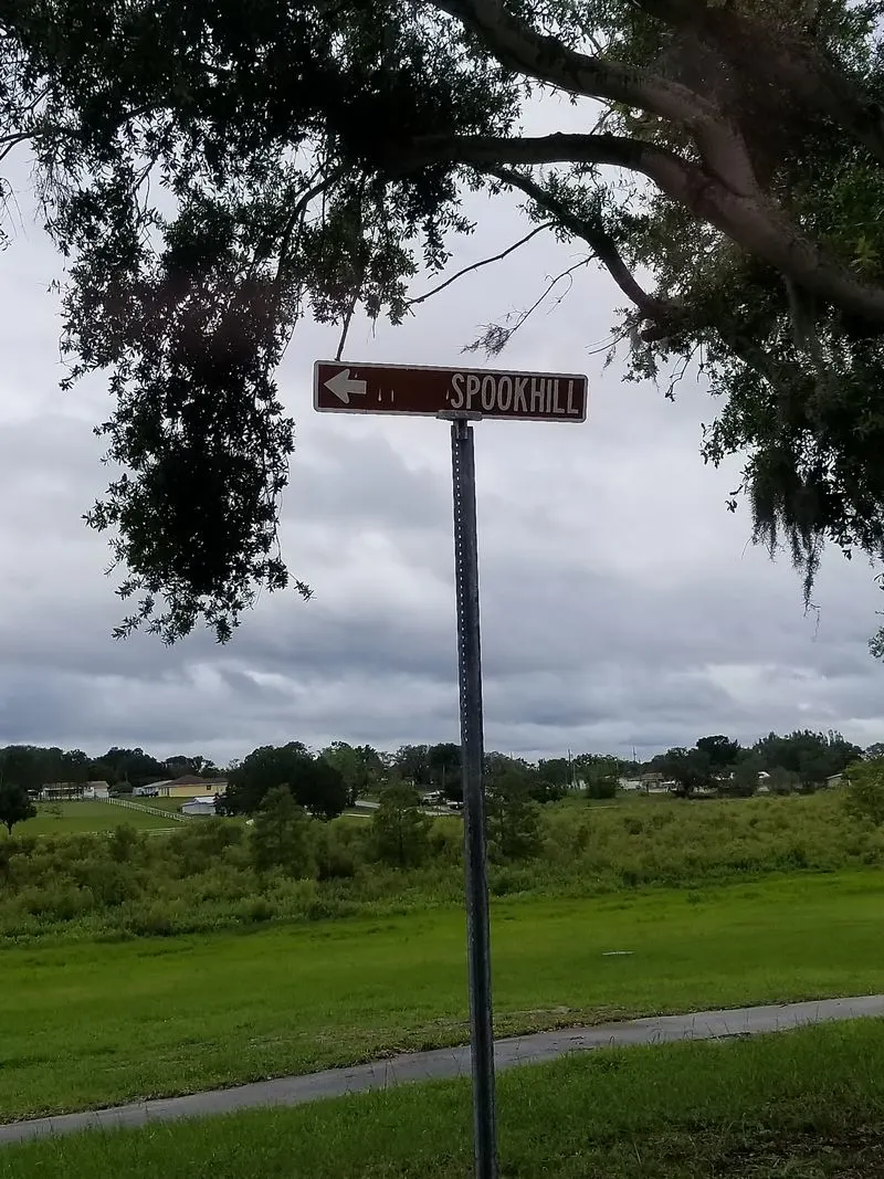 Retro Florida roadside charm