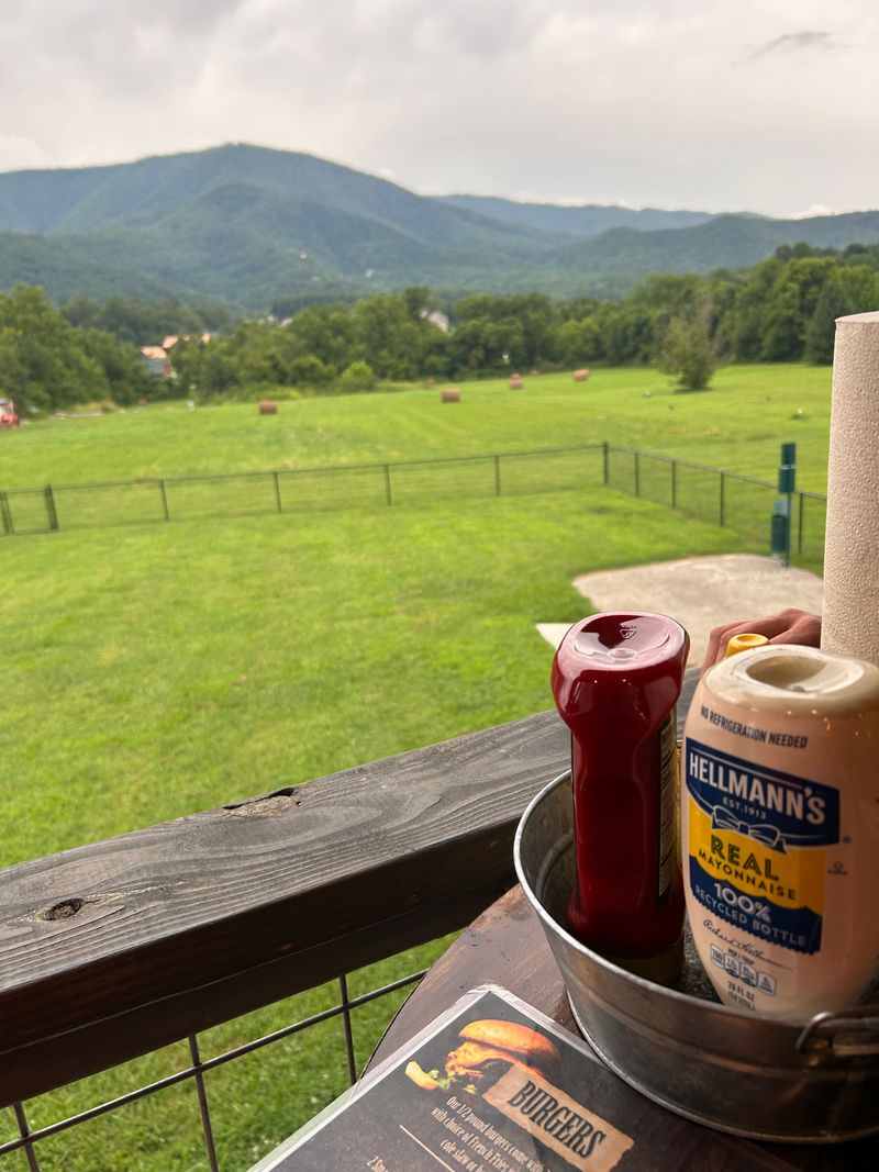 Insider Tips From Happy Regulars