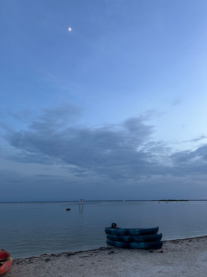 Best Places to See Bioluminescence in the Indian River Lagoon