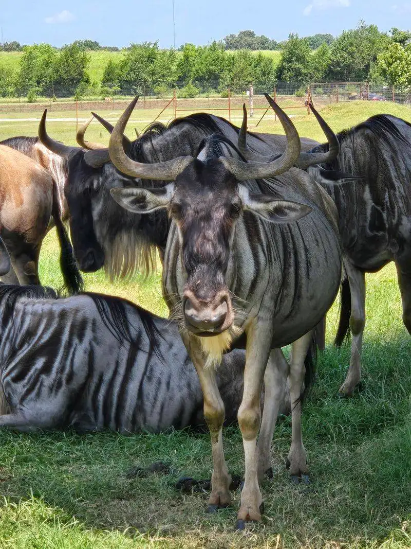 Cleanliness, safety, and staff