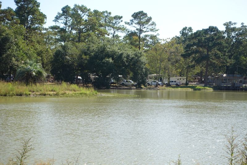 The Bayou Teche: Waterway That Shaped Cajun Life