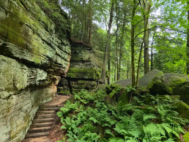 Trail Overview and Stats