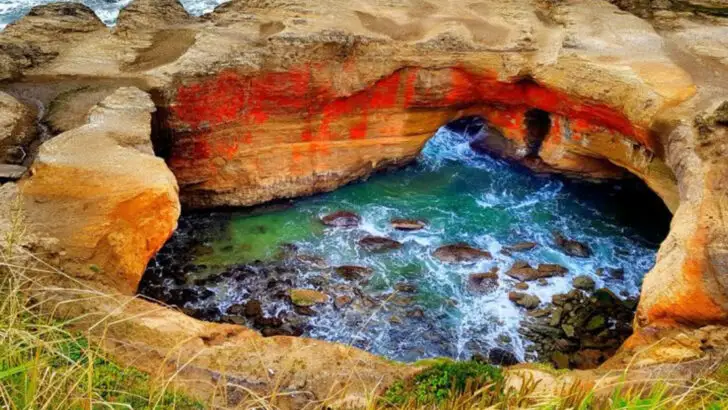 Where to See Blowholes Along the U.S. Coast