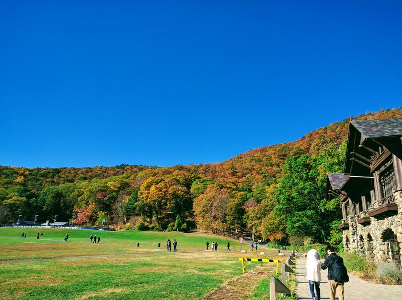 A Rare Escape Hiding in Plain Sight