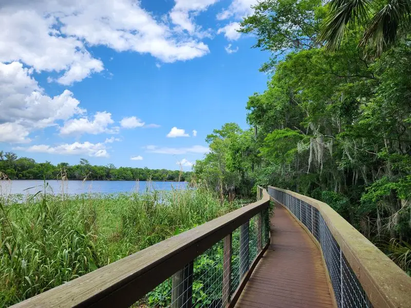 Elevated Boardwalks Over Wetlands