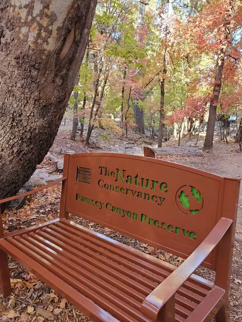 Top spots: Ramsey Canyon Preserve