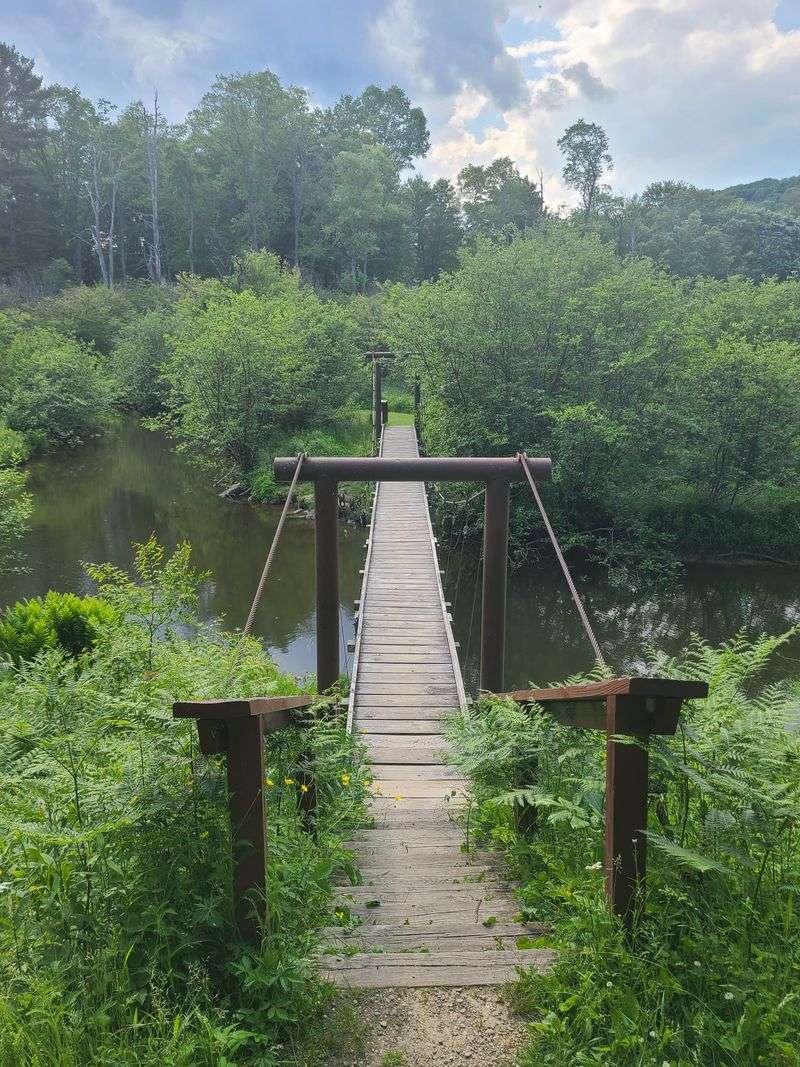 The History Behind Chapman State Park