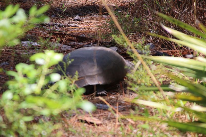 Where Nature and History Meet