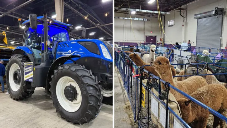Why the Pennsylvania Farm Show in Harrisburg is worth planning a visit around