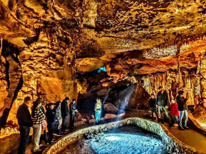 Bats, biology, and conservation