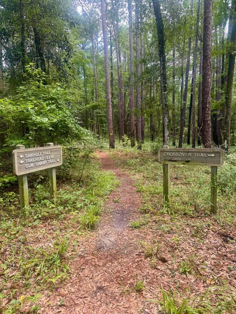 Trail Facilities