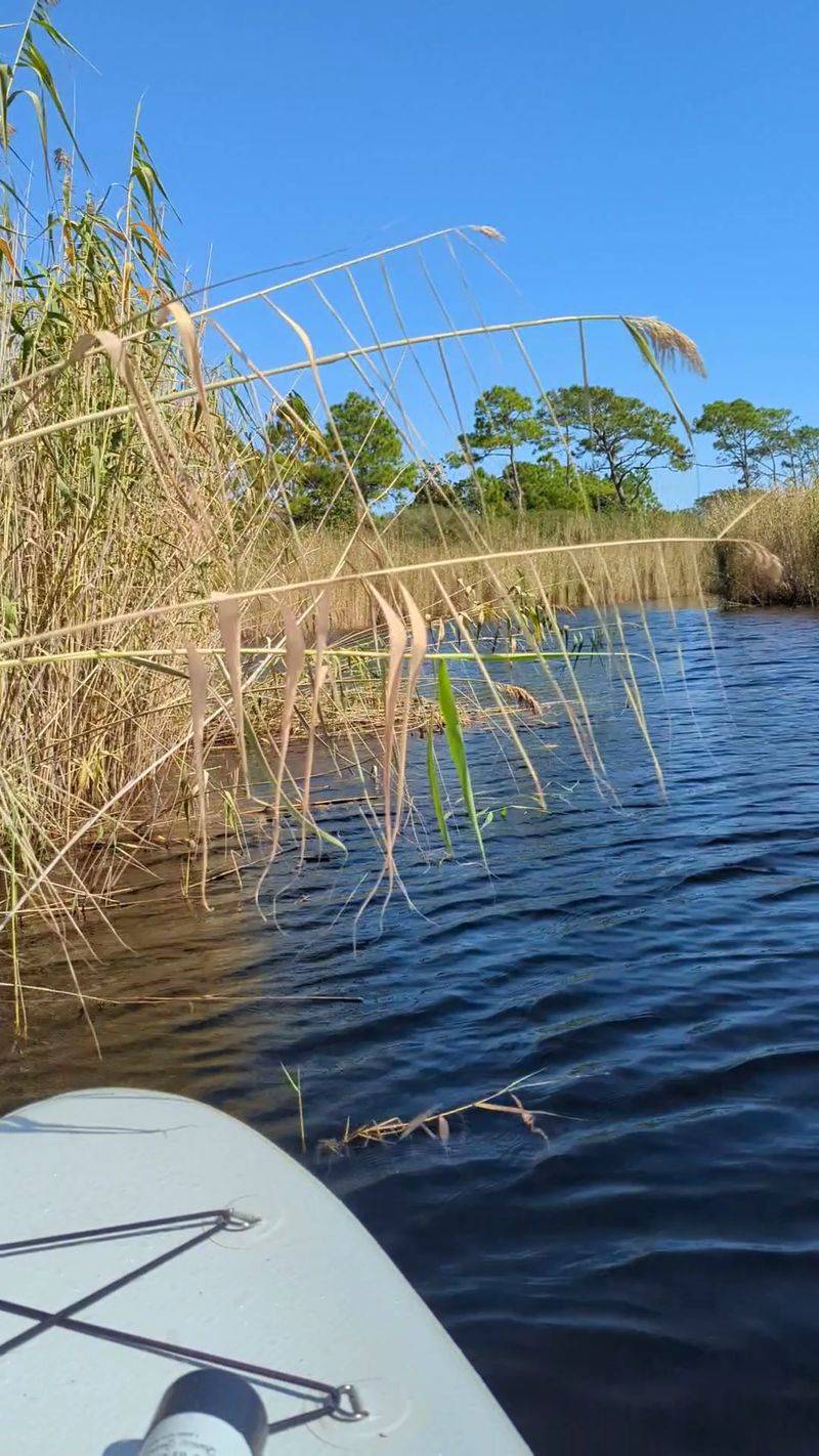 Paddleboarding on the Lake