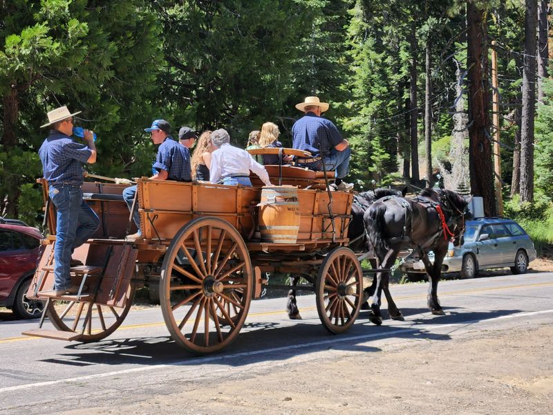 Family-Friendly Activities and Easy Walks