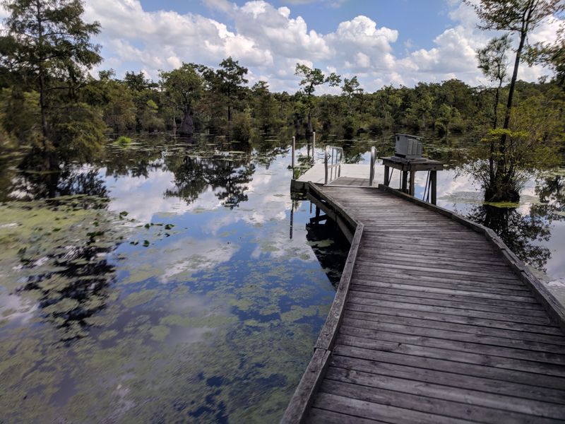Boardwalks and Scenic Overlooks
