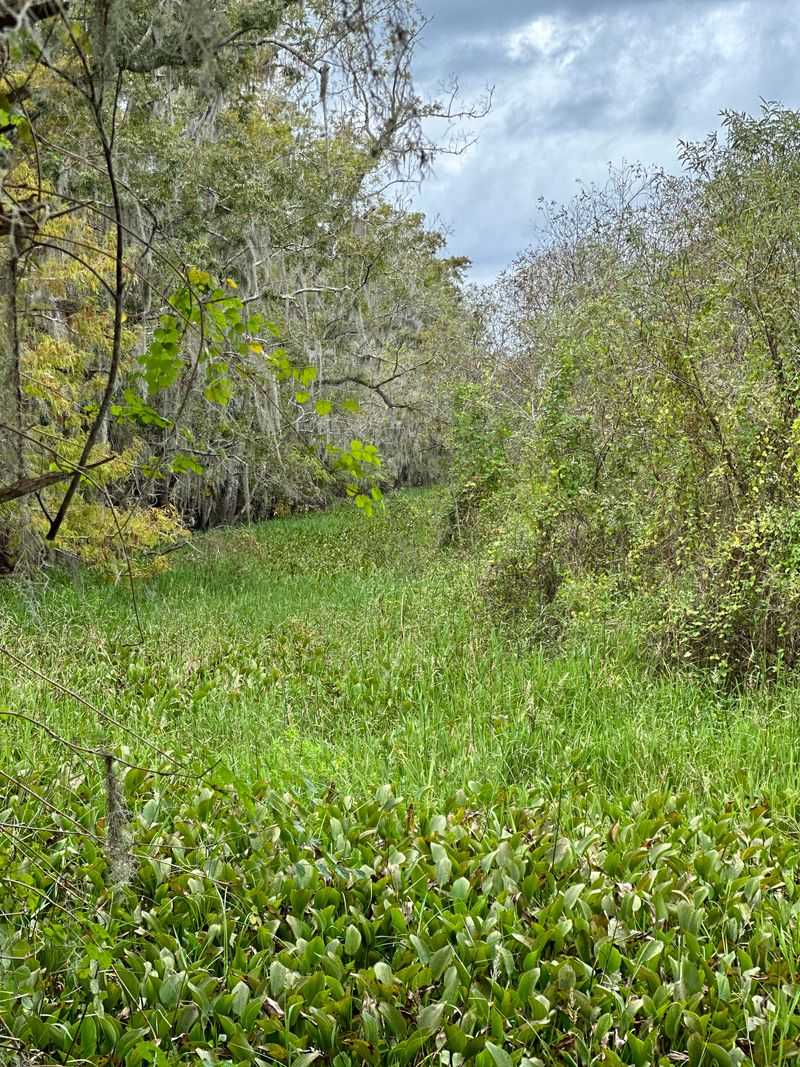 Trail Length and Hiking Options