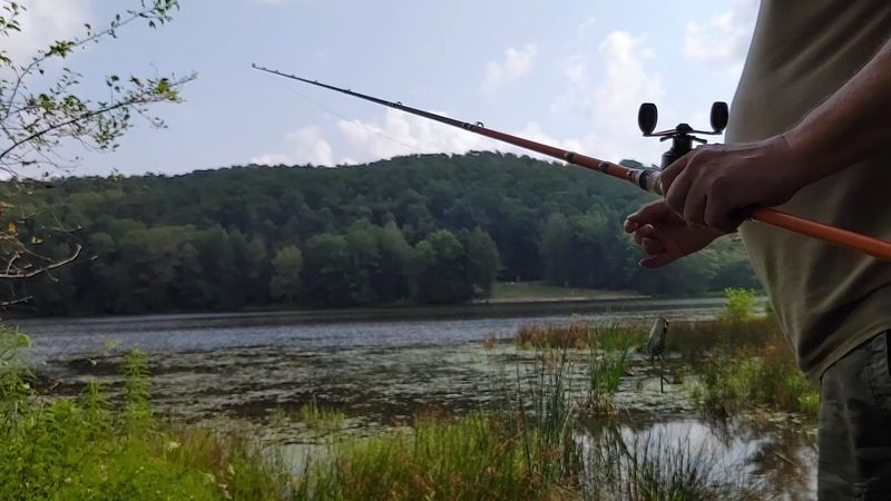 Fishing Opportunities at Chapman