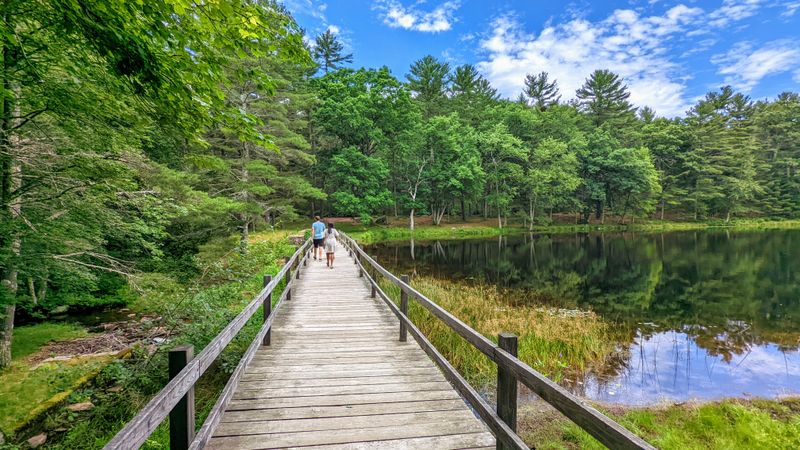 Quiet Escape from Urban Life