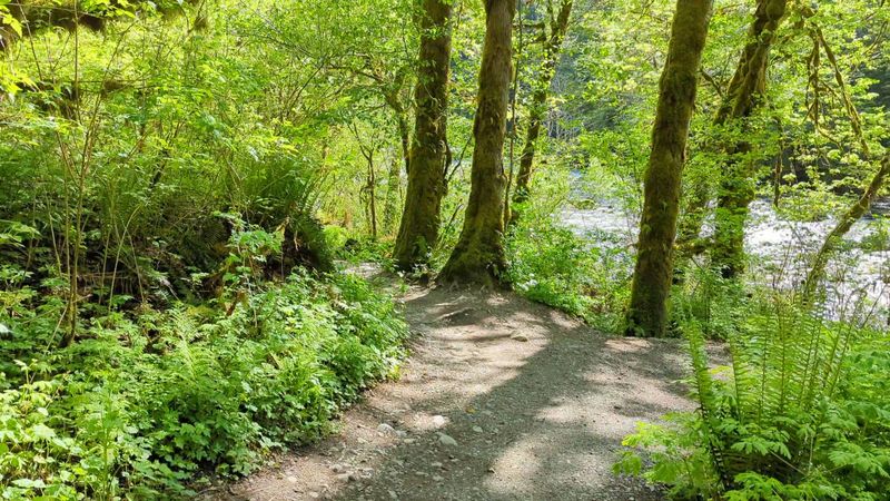 Accessibility and trail conditions