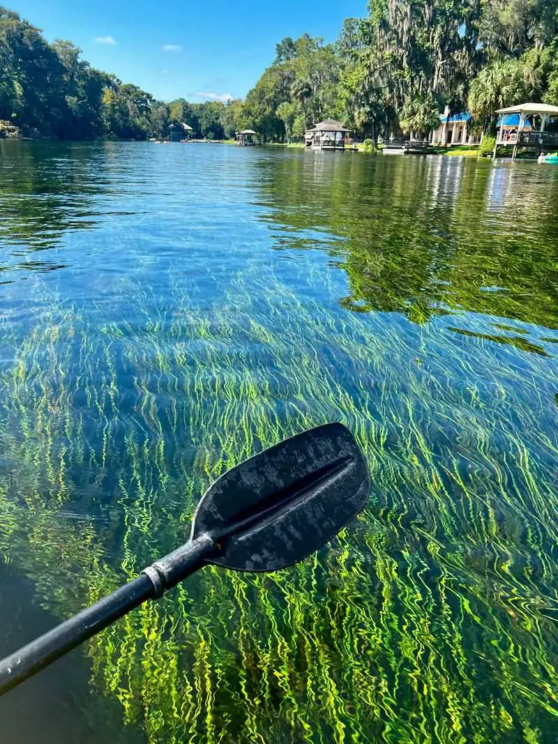 Safety, etiquette, and regulations