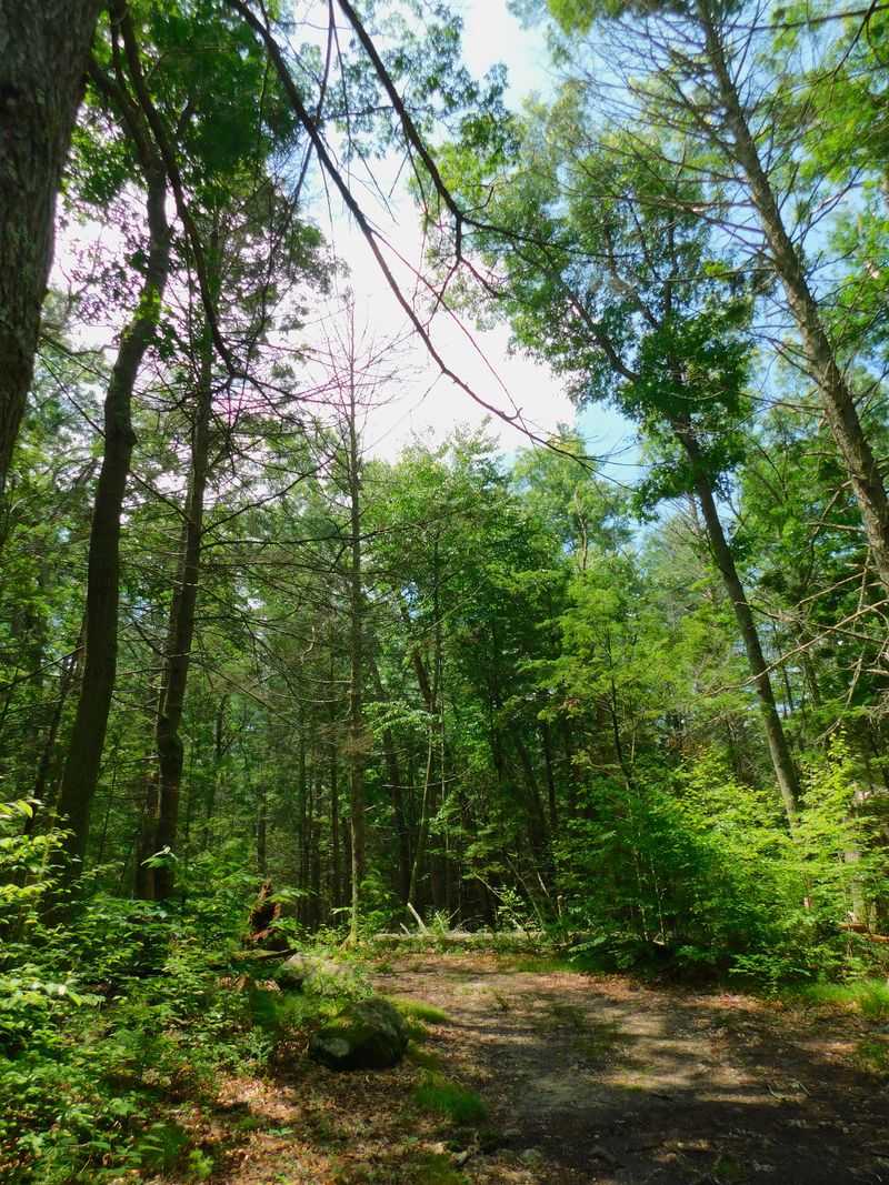 Wildlife and Birdwatching Opportunities